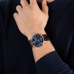 Наручные часы Tommy Hilfiger Alden 1791308 (Brown/Rose Gold) Thumb