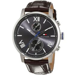Наручные часы Tommy Hilfiger Alden 1791309 (Brown/Silver) Thumb