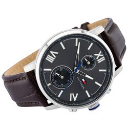 Наручные часы Tommy Hilfiger Alden 1791309 (Brown/Silver) Thumb