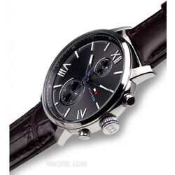 Наручные часы Tommy Hilfiger Alden 1791309 (Brown/Silver) Thumb
