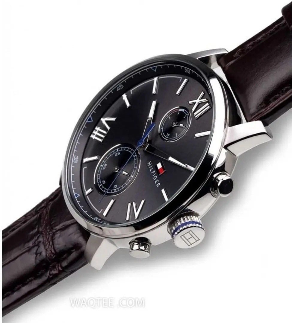 Наручные часы Tommy Hilfiger Alden 1791309 (Brown/Silver) - 6