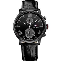 Наручные часы Tommy Hilfiger Alden 1791310 (Black)