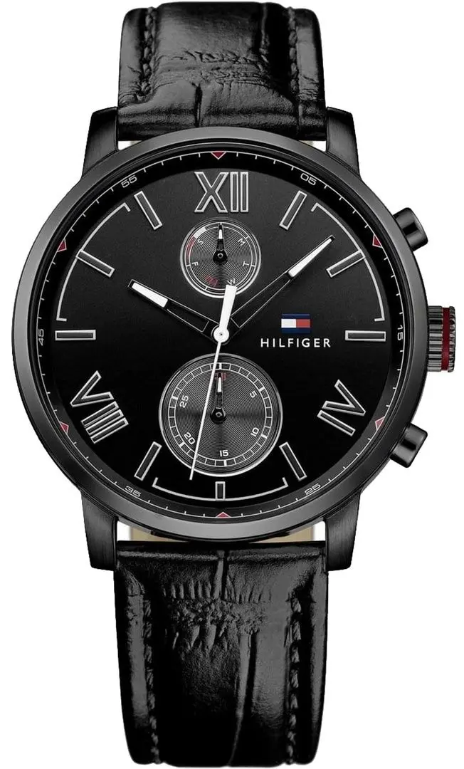Наручные часы Tommy Hilfiger Alden 1791310 (Black)