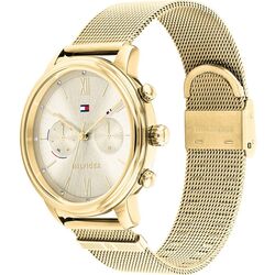 Наручные часы Tommy Hilfiger Blake 1782302 (Gold) Thumb