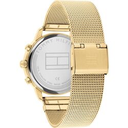 Наручные часы Tommy Hilfiger Blake 1782302 (Gold) Thumb