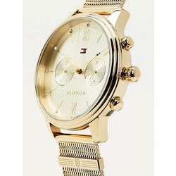 Наручные часы Tommy Hilfiger Blake 1782302 (Gold) Thumb