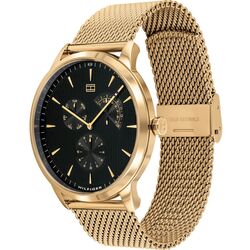 Наручные часы Tommy Hilfiger Brad 1710386 (Gold) Thumb