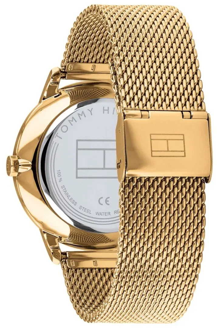 Наручные часы Tommy Hilfiger Brad 1710386 (Gold) - 3