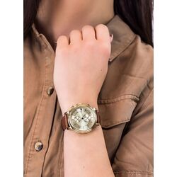 Наручные часы Tommy Hilfiger Claudia 1781818 (Brown/Gold) Thumb