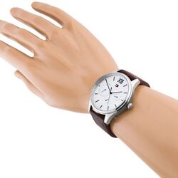 Наручные часы Tommy Hilfiger Damon 1791418 (Brown/Silver) Thumb