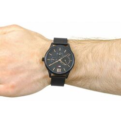 Наручные часы Tommy Hilfiger Damon 1791420 (Black) Thumb