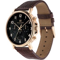 Наручные часы Tommy Hilfiger Daniel 1710379 (Brown/Black) Thumb