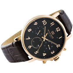 Наручные часы Tommy Hilfiger Daniel 1710379 (Brown/Black) Thumb