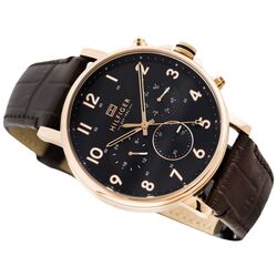 Наручные часы Tommy Hilfiger Daniel 1710379 (Brown/Black) Thumb