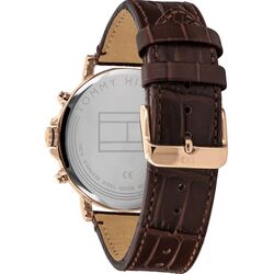 Наручные часы Tommy Hilfiger Daniel 1710379 (Brown/Black) Thumb