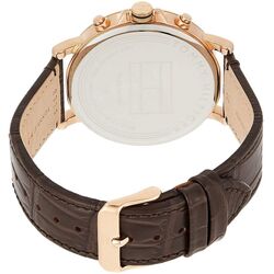 Наручные часы Tommy Hilfiger Daniel 1710379 (Brown/Black) Thumb