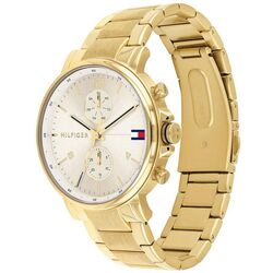 Наручные часы Tommy Hilfiger Daniel 1710415 (Gold) Thumb