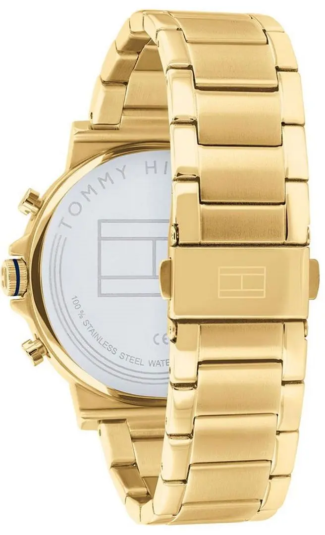 Наручные часы Tommy Hilfiger Daniel 1710415 (Gold) - 3