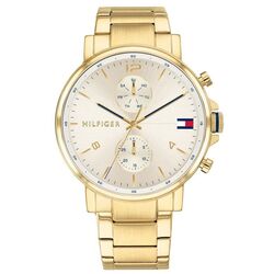 Наручные часы Tommy Hilfiger Daniel 1710415 (Gold)