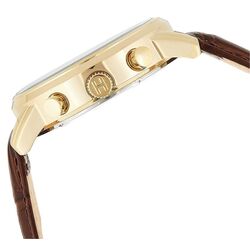 Наручные часы Tommy Hilfiger Harrison 1790874 (Brown/Gold) Thumb