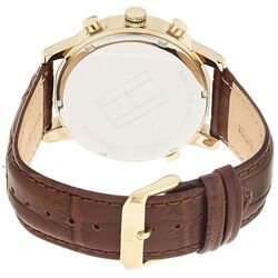 Наручные часы Tommy Hilfiger Harrison 1790874 (Brown/Gold) Thumb