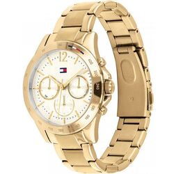 Наручные часы Tommy Hilfiger Haven 1782195 (Gold) Thumb