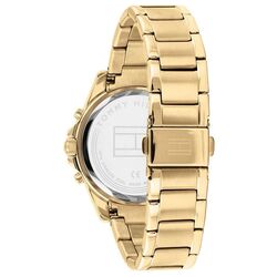 Наручные часы Tommy Hilfiger Haven 1782195 (Gold) Thumb