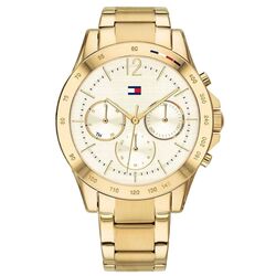 Наручные часы Tommy Hilfiger Haven 1782195 (Gold)