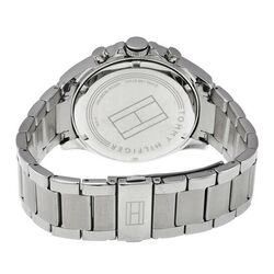 Наручные часы Tommy Hilfiger Hudson 1791229 (Silver/Brown) Thumb