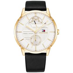 Ceas de mana Tommy Hilfiger Hunter 1791606 (Black/Gold)