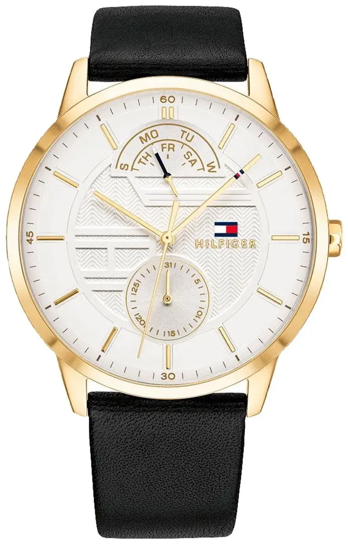 Ceas de mana Tommy Hilfiger Hunter 1791606 (Black/Gold)