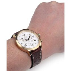 Наручные часы Tommy Hilfiger Jake 1791231 (Brown/Gold) Thumb