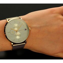 Наручные часы Tommy Hilfiger Jenna 1781943 (Gold) Thumb