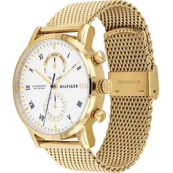Наручные часы Tommy Hilfiger Kane 1710403 (Gold) Thumb