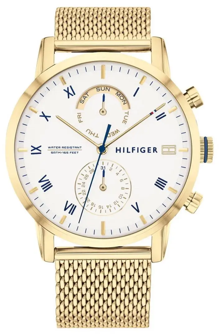 Наручные часы Tommy Hilfiger Kane 1710403 (Gold)