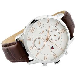 Наручные часы Tommy Hilfiger Kane 1791400 (Brown/Silver) Thumb