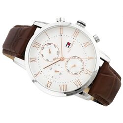 Наручные часы Tommy Hilfiger Kane 1791400 (Brown/Silver) Thumb