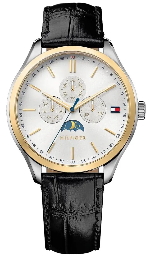 Наручные часы Tommy Hilfiger Oliver 1791305 (Black/Silver)
