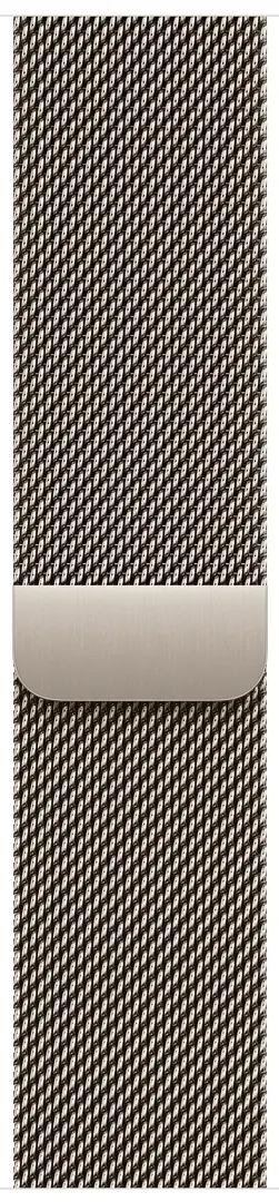 Смарт-часы Apple Watch Series 10 GPS + Cellular 46mm Milanese Loop S/M (Natural Titanium)