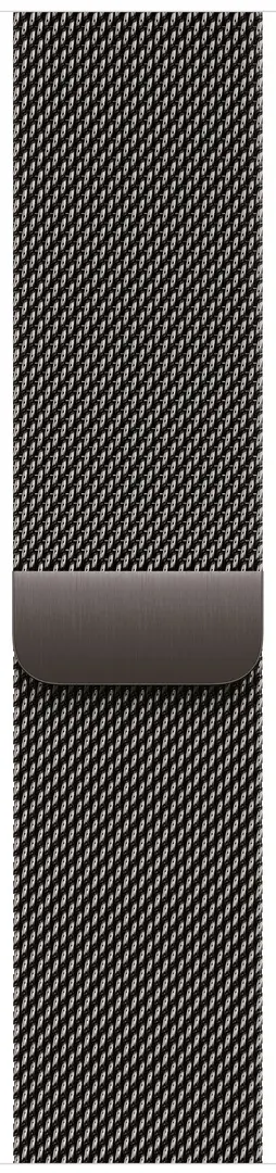 Смарт-часы Apple Watch Series 10 GPS + Cellular 46mm Milanese Loop (Slate)