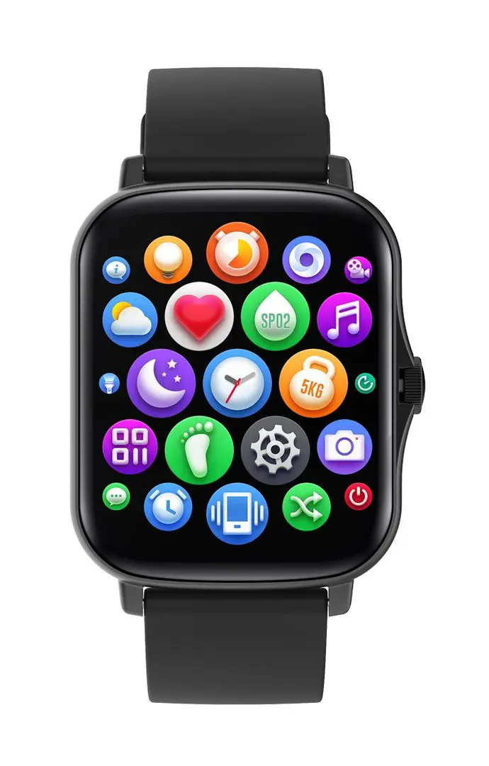 Смарт-часы Canyon Barberry SW-79 (Black)