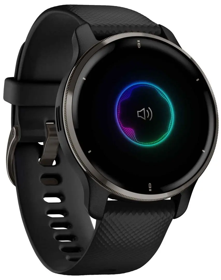 Cмарт-часы Garmin Venu 2 Plus (Black)