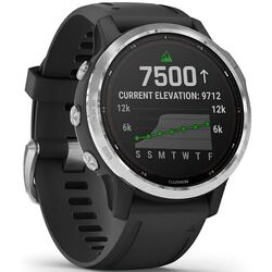 Смарт-часы Garmin Fenix 6S Solar (Silver/Black) Thumb