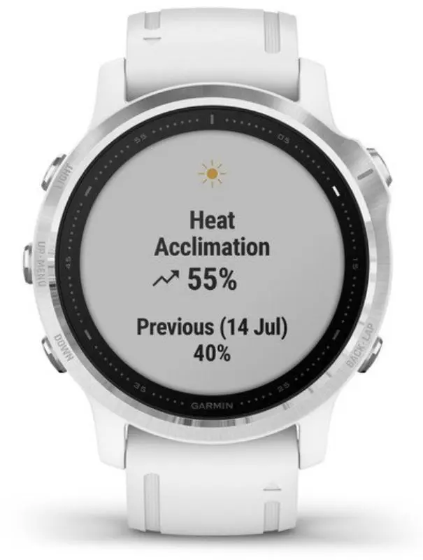 Ceas inteligent Garmin Fenix 6S (White)