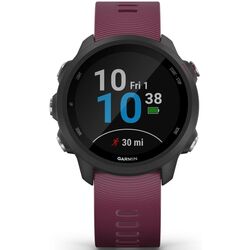 Ceas inteligent Garmin Forerunner 245 (Berry)