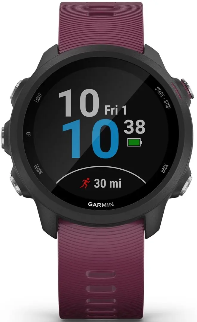 Ceas inteligent Garmin Forerunner 245 (Berry)