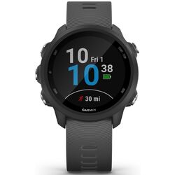 Ceas inteligent Garmin Forerunner 245 (Slate Grey)