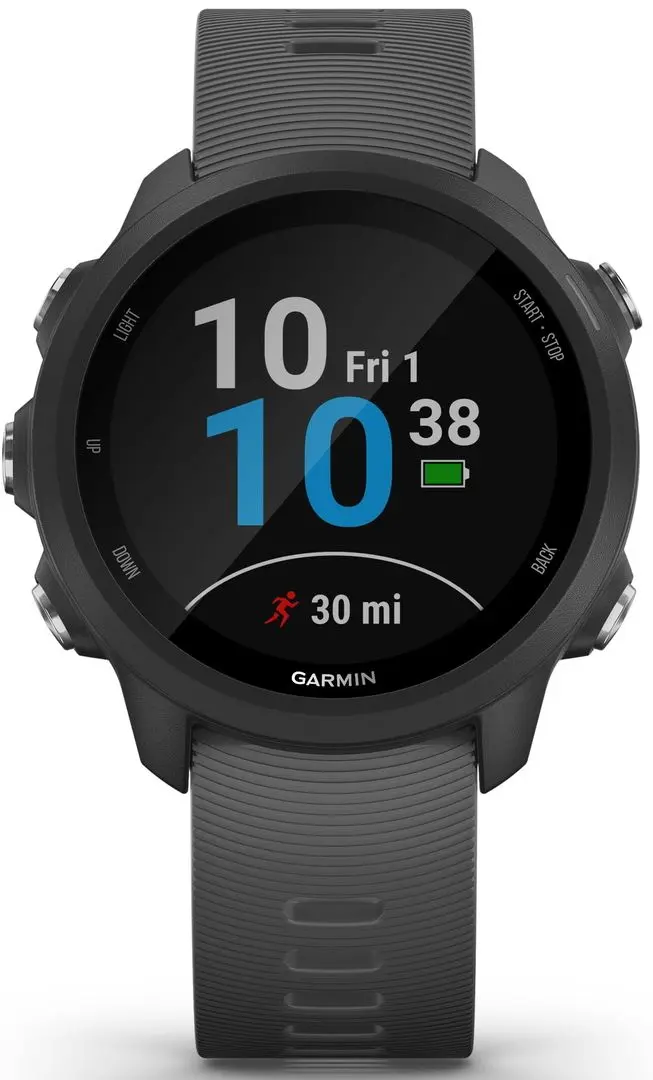 Ceas inteligent Garmin Forerunner 245 (Slate Grey)