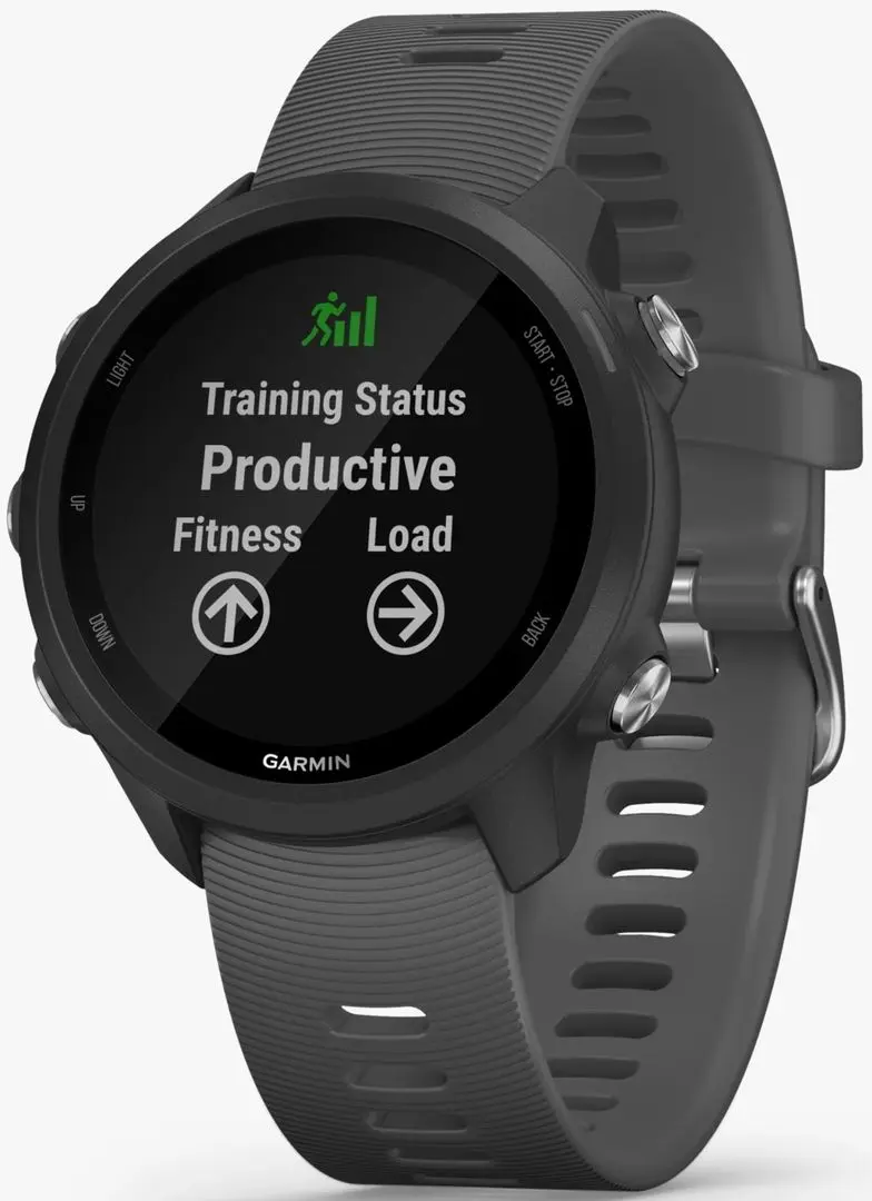 Ceas inteligent Garmin Forerunner 245 (Slate Grey)