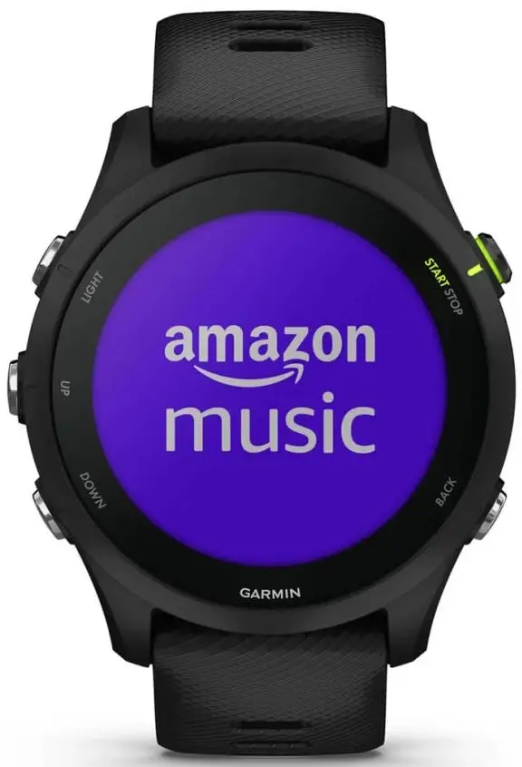 Ceas intelegent Garmin Forerunner 255 Music (Black)
